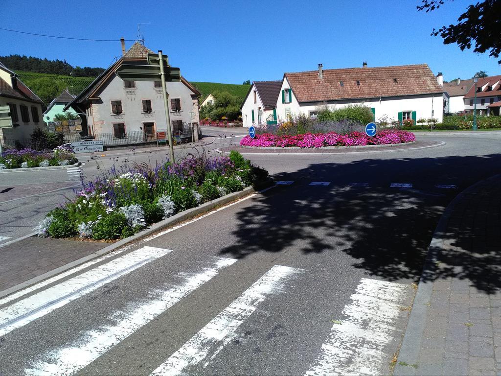 Gites & Camping On The Route Des Vins Bergheim Zewnętrze zdjęcie