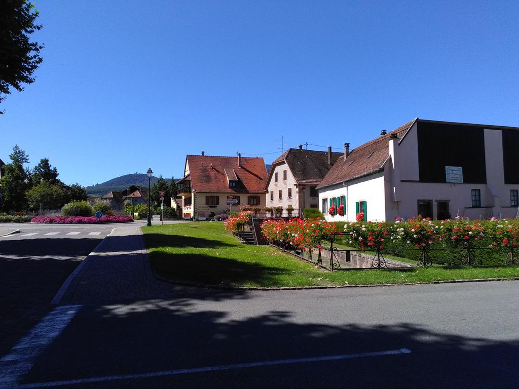 Gites & Camping On The Route Des Vins Bergheim Zewnętrze zdjęcie