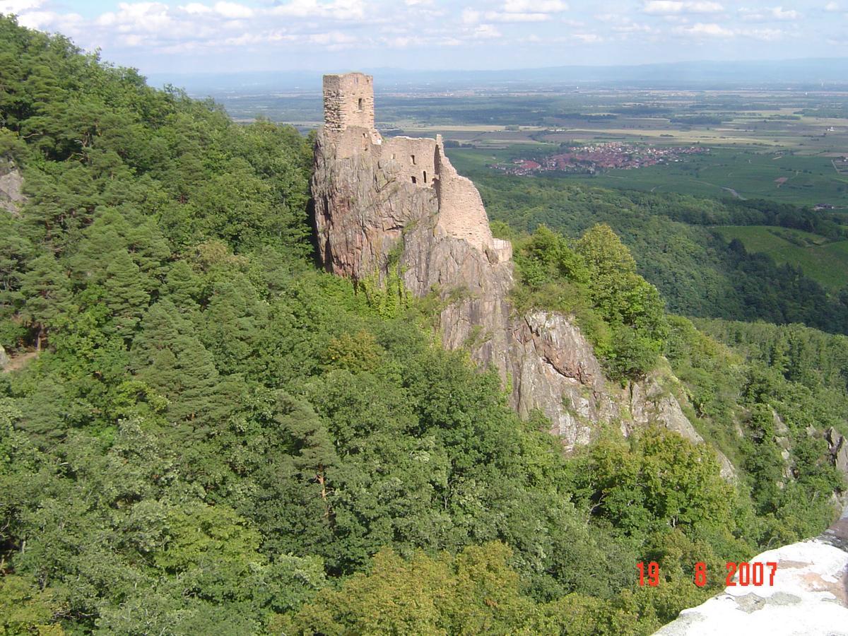 Gites & Camping On The Route Des Vins Bergheim Zewnętrze zdjęcie