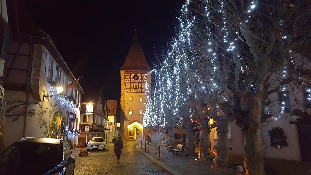 Gites & Camping On The Route Des Vins Bergheim Zewnętrze zdjęcie