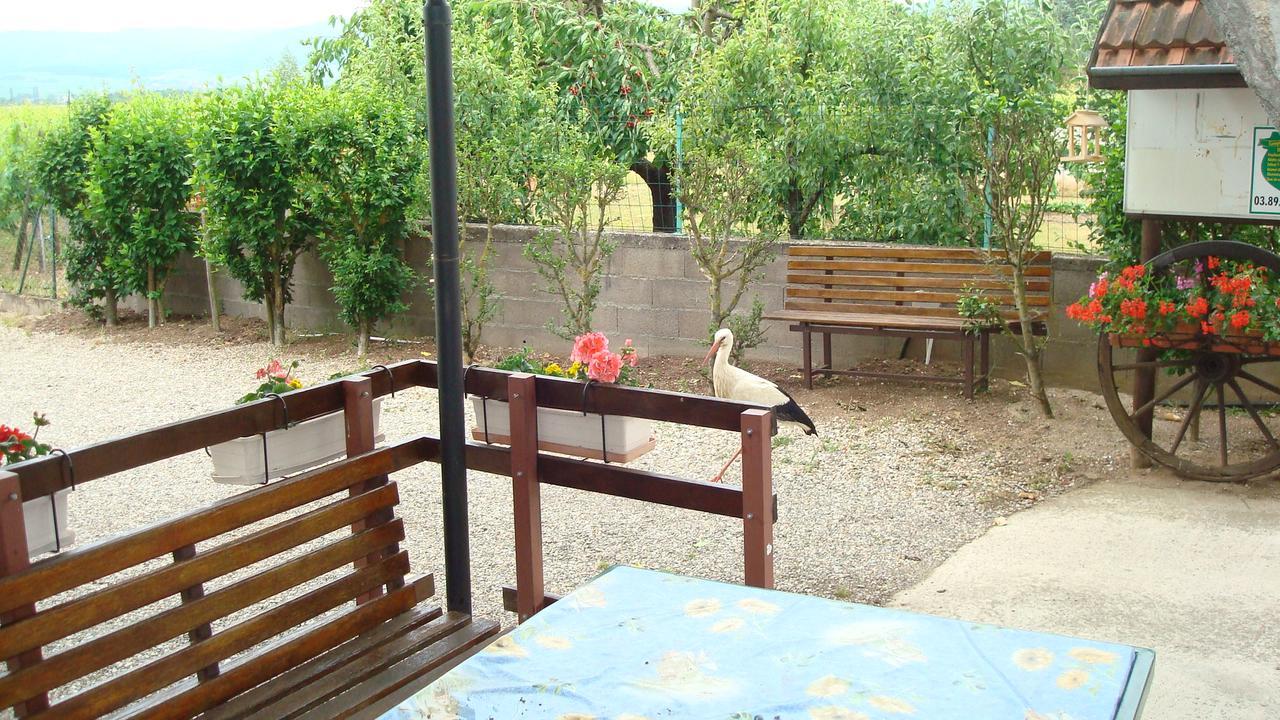 Gites & Camping On The Route Des Vins Bergheim Zewnętrze zdjęcie